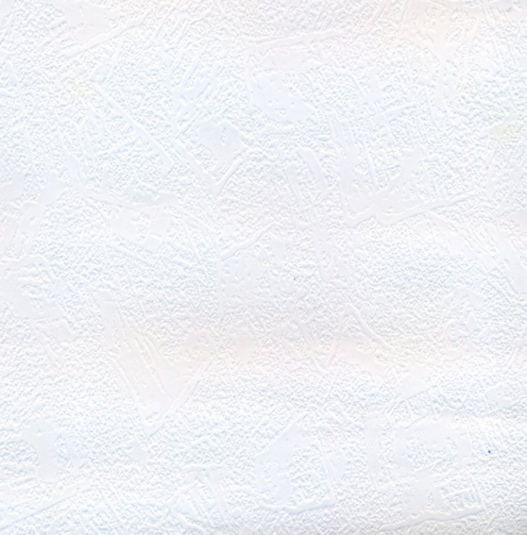 Papírová tapeta bílá 2001900 / Levné tapety na zeď Vavex 2017 (0,53 x 10,05 cm)
