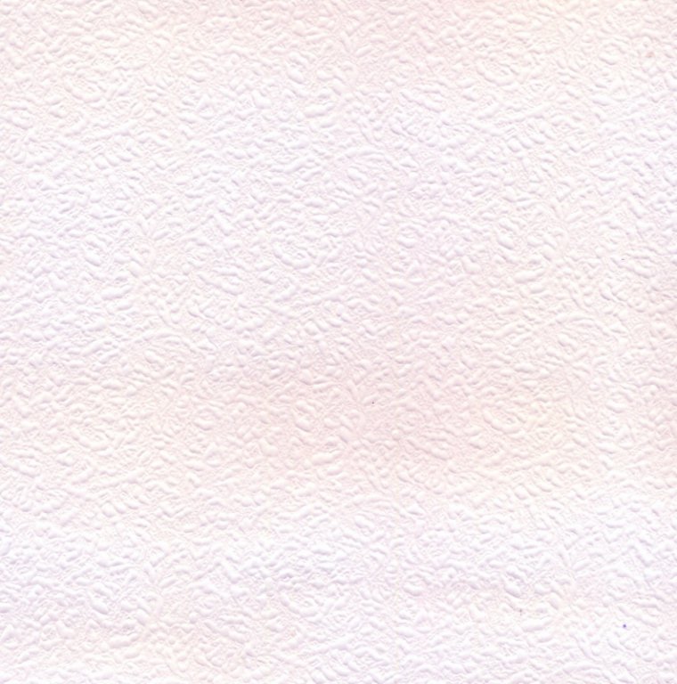 Papírová tapeta bílá strukturovaná 2001700 / Levné tapety na zeď Vavex 2017 (0,53 x 10,05 m)