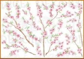 Samolepicí dekorace na zeď 70x100cm Crearreda Peach branches 57101