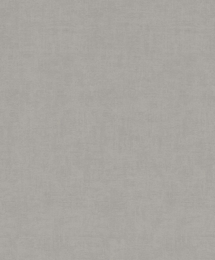 Vliesová tapeta 489774 šedá / Vliesové tapety na zeď Modern Art (0,53 x 10,05 m) Rasch