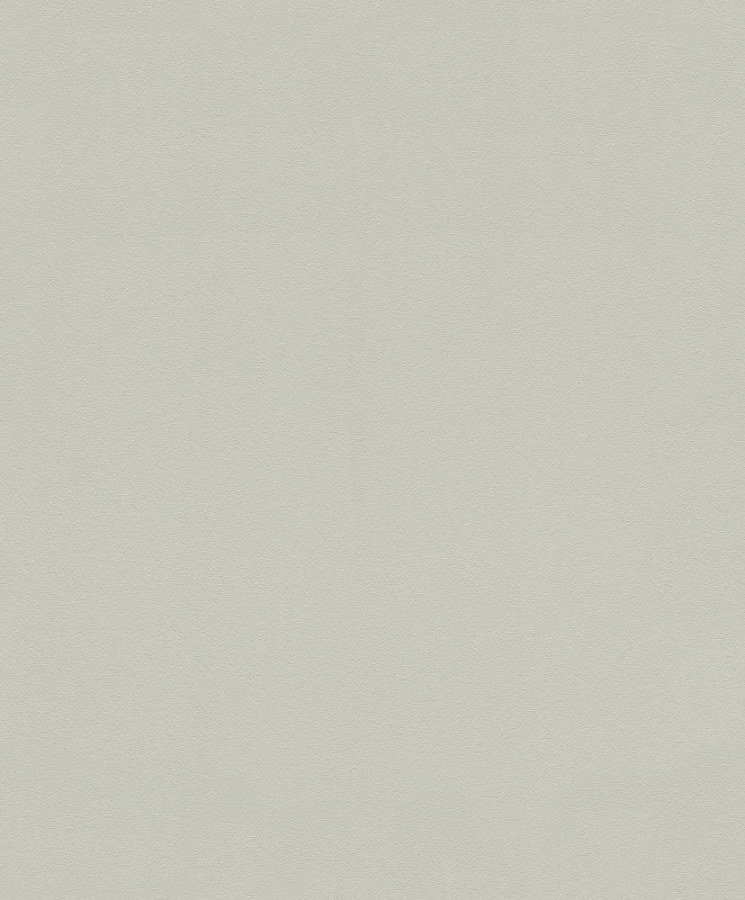 Vliesová tapeta 610819 šedá/ Vliesové tapety na zeď Modern Art (0,53 x 10,05 m) Rasch