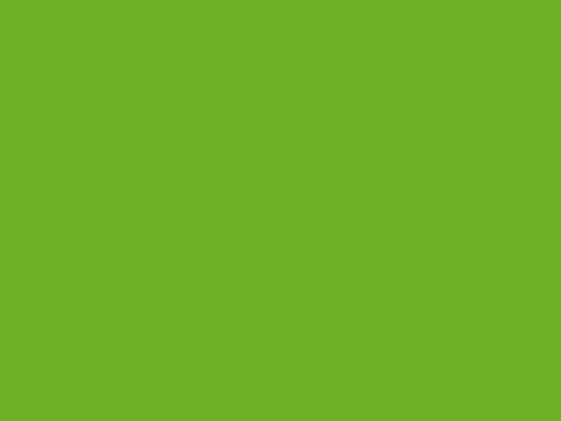 Samolepící tapeta citronově zelená matná, šířka 45 cm, metráž - 13368 / samolepicí fólie UNI jednobarevná Lemon Green mat Gekkofix