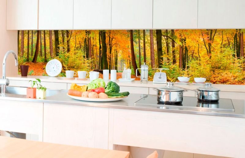 Fototapeta do kuchyně Podzimní les, 350 x 60 cm / KI-350-045 / samolepicí fototapety na kuchyňskou linku DIMEX