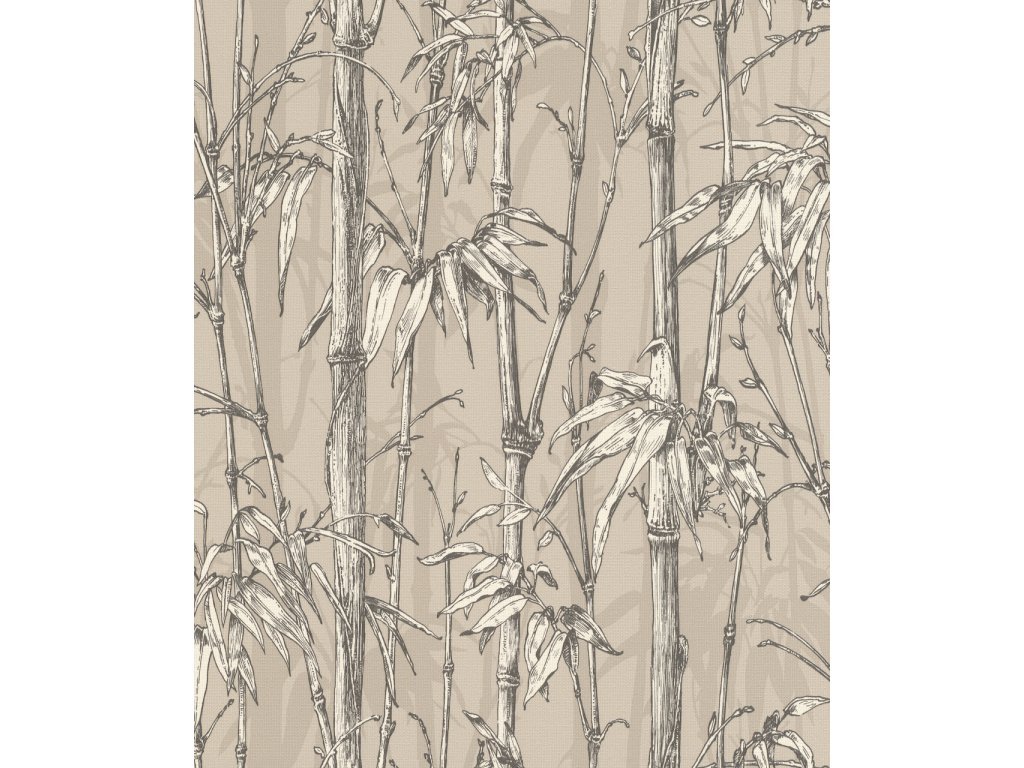 Vliesová tapeta 484861 béžová, antracit, bambus / Tapety na zeď Florentine III (0,53 x 10,05 m) Rasch