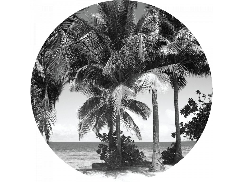 Samolepicí fototapeta Palmy 140x140 cm CR3309 Monochromatic Palms / kruhové samolepicí vliesové dekorace La Form (ø 140 cm) AG Design