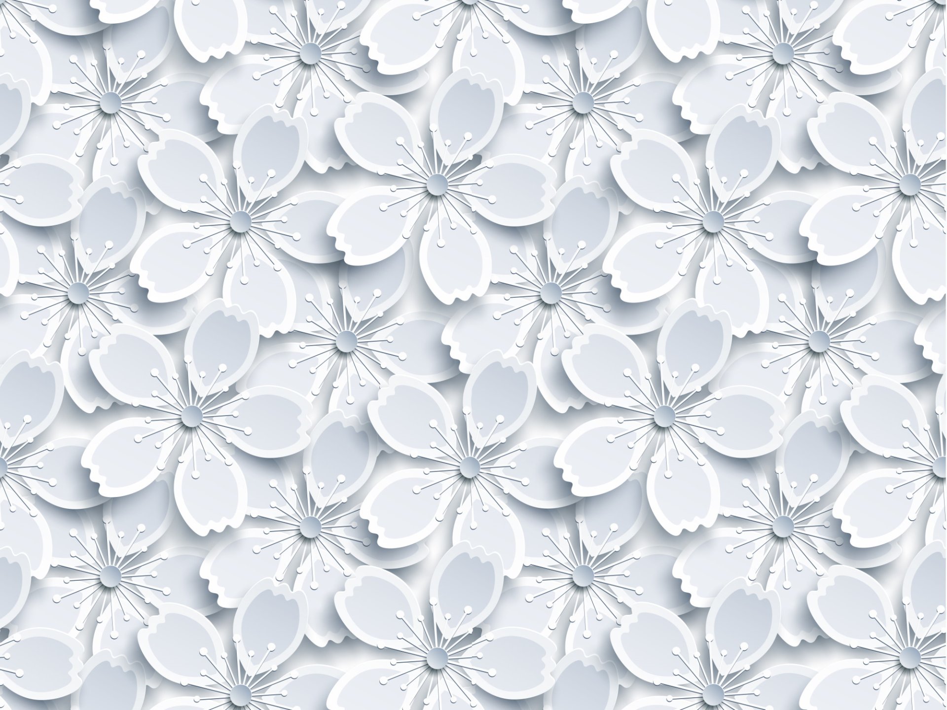 Samolepící tapeta bílé květy, šířka 45 cm, metráž, 14130 / samolepicí fólie a tapety WHITE FLOWERS Venilia / Gekkofix
