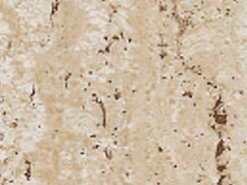 Samolepící tapeta Travertin šířka 67,5 cm, metráž 10504 / samolepicí fólie a tapety Venilia / Gekkofix