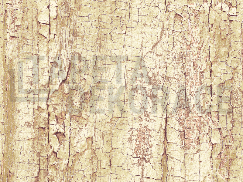 Samolepicí tapeta popraskaná kůra stromu, staré dřevo 13774, šířka 45 cm, metráž / samolepící folie Tree Shell Gekkofix