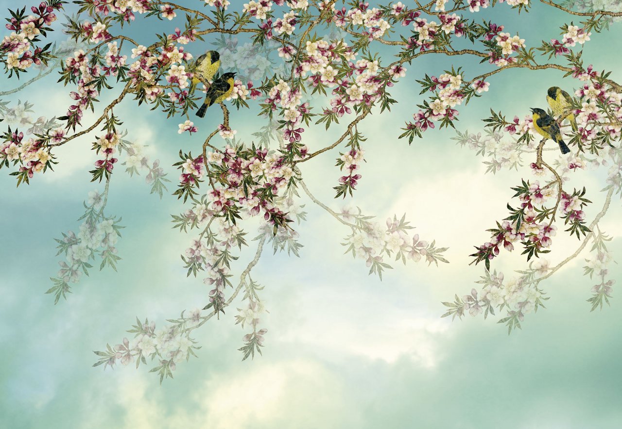 Fototapeta Sakura 8-213 Kvetoucí třešeň / obrazové tapety a fototapety na zeď Komar (368 x 254 cm)