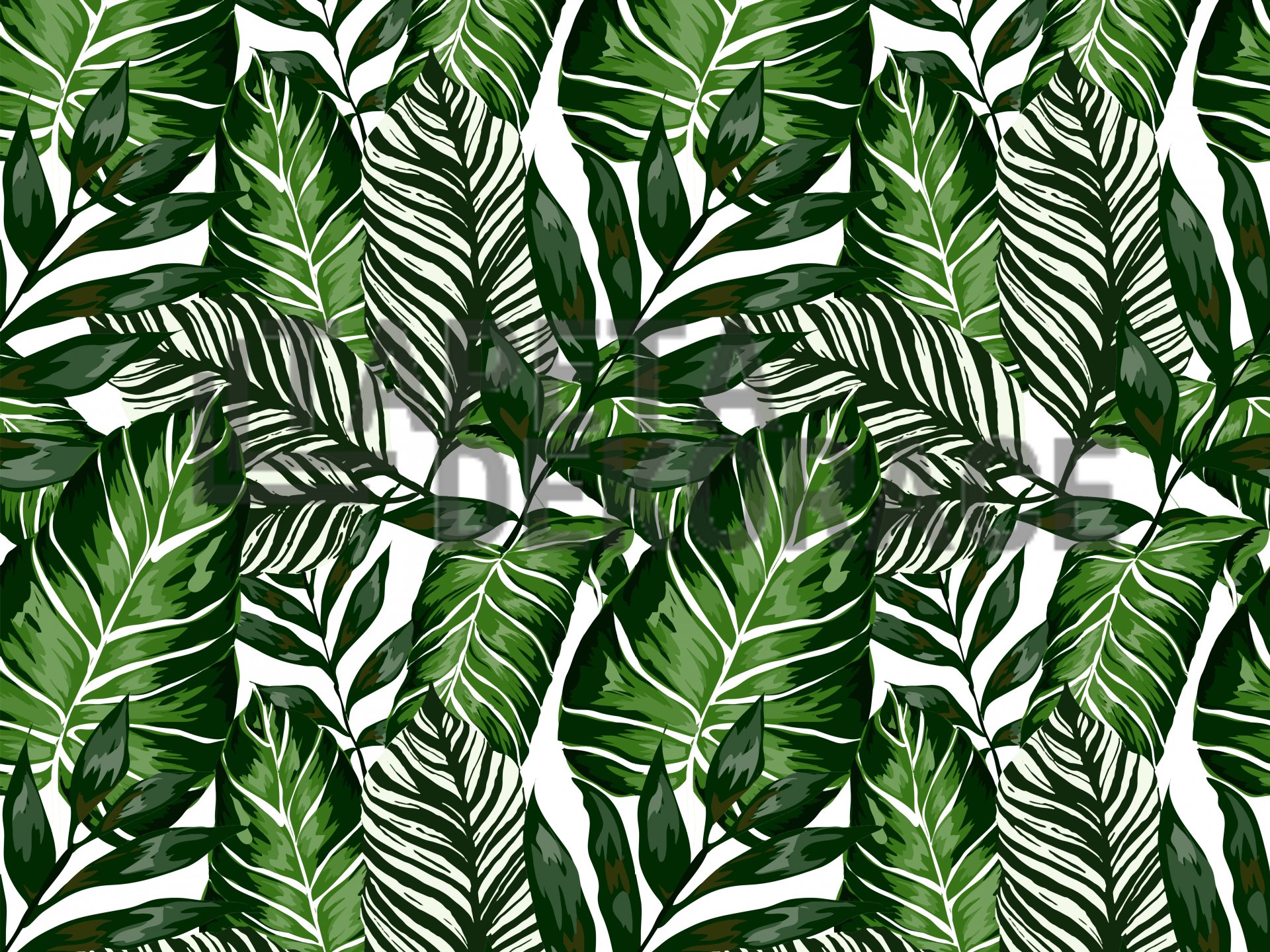 Samolepící tapeta zelené listy pokojových rostlin a květin, šířka 67,5 cm, metráž 55790 / 14126 samolepicí fólie a tapety HOUSE PLANTS Venilia / Gekkofix