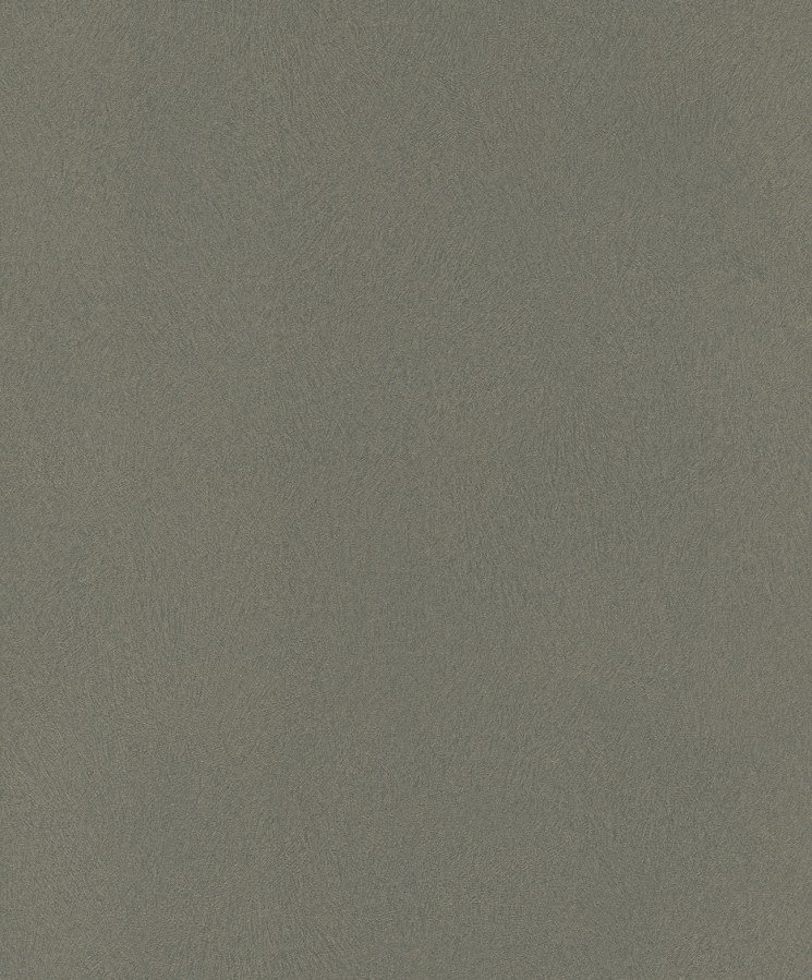 Vliesová tapeta šedá 418668 / Vliesové tapety na zeď Club, Aldora III (0,53 x 10,05 m) Rasch