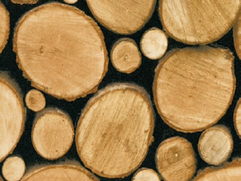 Samolepící tapeta dřevěná polena, špalky dřeva 11613, šířka 45 cm, metráž / samolepicí fólie imitace dřevo Gekkofix